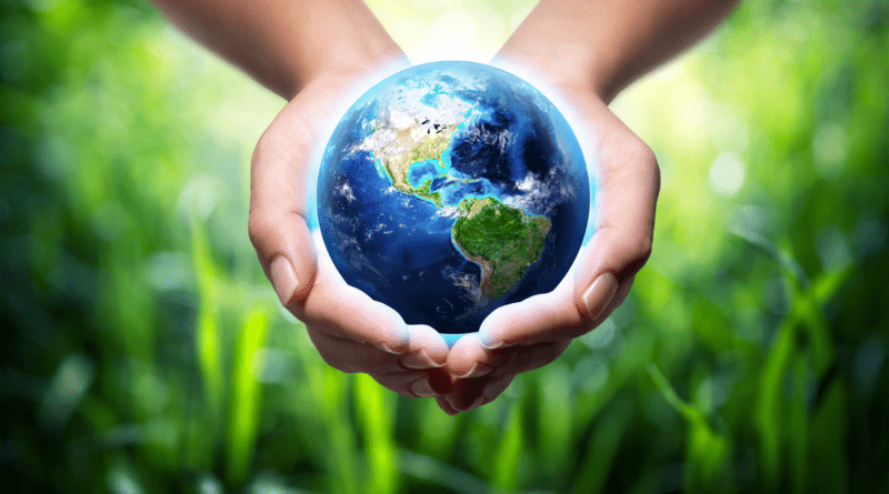 hands holding a globe