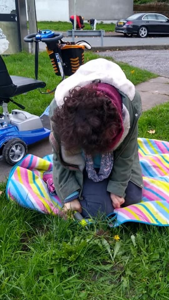 ceri planting daffs