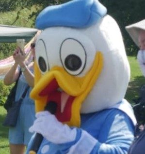 donalds head