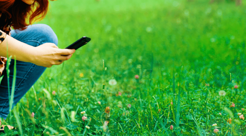 taking upclose photo of grass