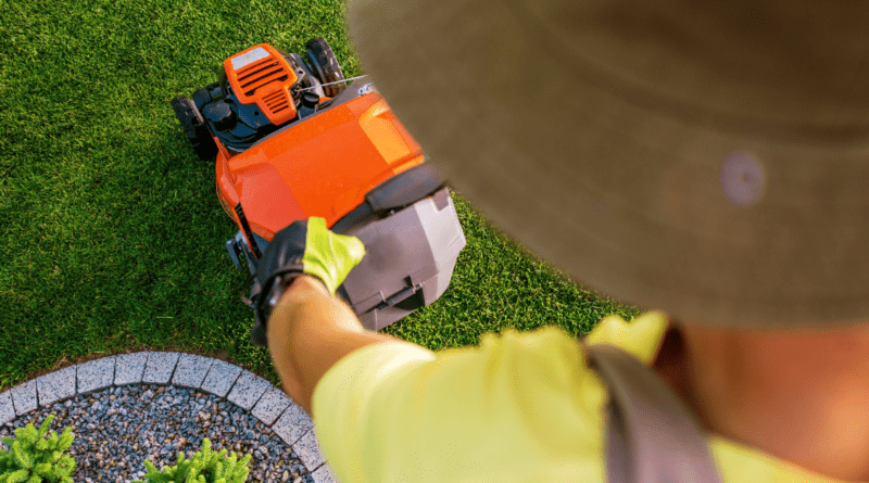 MOWED LAWN