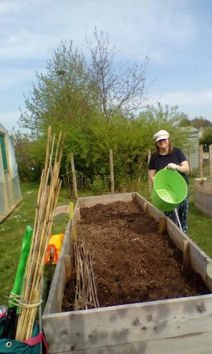 SALLY busy on the allotment
