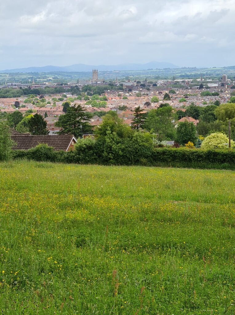 VIEW FROM THE HILL