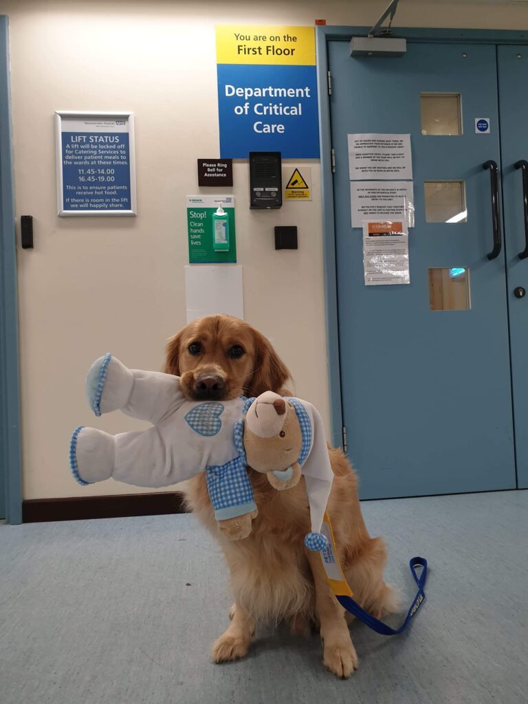 Gismo holding teddy on children's ward